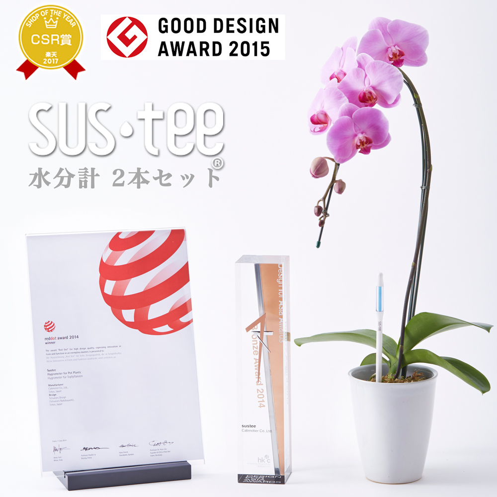 楽天市場】【ポイント5倍】『「パキラ ミルキーウェイ」実生苗 楽天市場】【ポイント5倍】『「パキラ ミルキーウェイ」実生苗