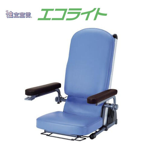 電動昇降座腰掛け DSエコ点火装置 DSERA 標準尺度ひな形 １台  ※代引っ張ること決済不可商いもの