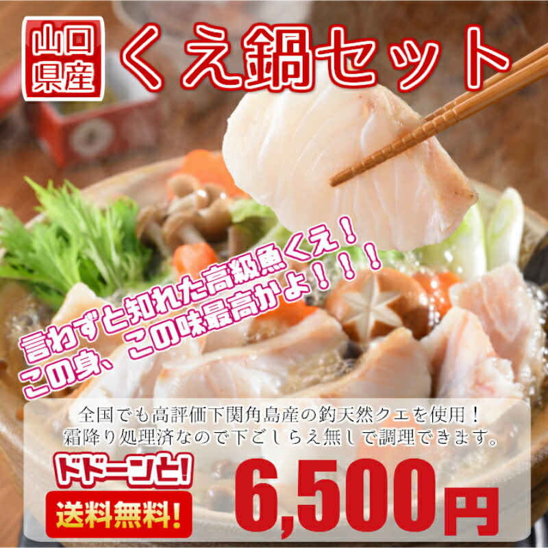 送料無料 山口県産 天然 くえ鍋 クエ鍋 セット ギフト 父の日 のし対応 高級魚 くえ くえ鍋 父の日 ギフト お取寄 送料無料 ギフト 国産天然 くえ鍋セット 山口県産天然クエ くえ 切身 アラ 18 キサンタン Painandsleepcenter Com