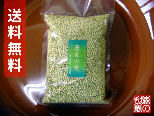楽天市場 送料無料 そばの実 ルチンたっぷり そば実500ｇ 丸ぬき むき実 茹でてそのまま美味しいそばの実 森のそば粉屋さん