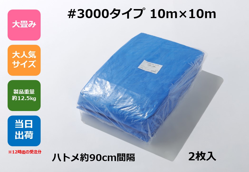 楽天市場】ブルーシート ＃3000 10×10m 2枚セット 10 x 10 3000