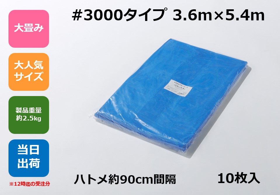 ブルーシート #3000タイプ 厚手 3.6m×5.4m ハトメ付 【10枚】 アウトドア レジャー イベント 災害 防災 備蓄 防水 土木 建築 建設 資材 災害対策 耐久性 養生 青 規格 サイズ 10×10