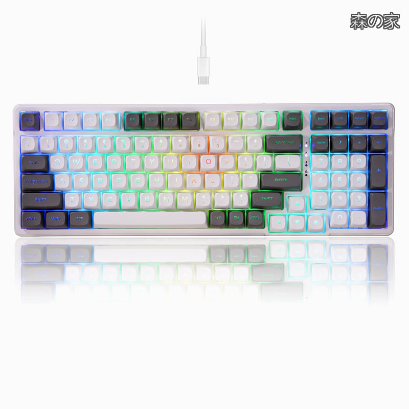 【送料無料】Z-99 メカニカルゲーミングキーボード 銀軸 英語配列 99キー テンキー付き 有線USB-C 4層吸音ガスケット構造 RGBバックライト付き 全キー防衝突 PS5/Windows/M|森の家