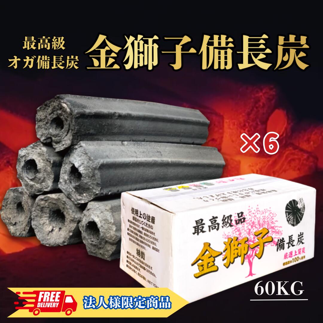 木炭炭極上