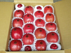 楽天市場】紅いわてりんご取寄販売 岩手県オリジナルの紅りんごを通販