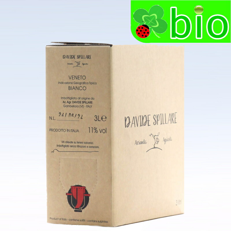 楽天市場】☆秋の特別価格☆KAZU MAX RED バッグ イン ボックス(3L 赤