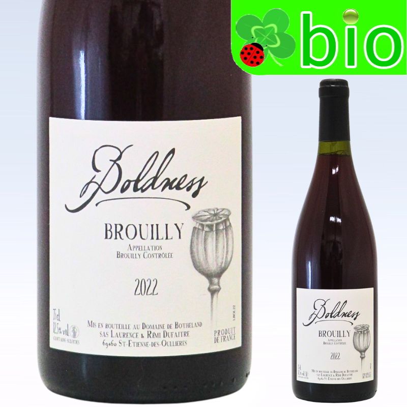 ブルイィ“ボルドネス”[2023]レミ デュフェイトル Brouilly Boldness Remi Dufaitre