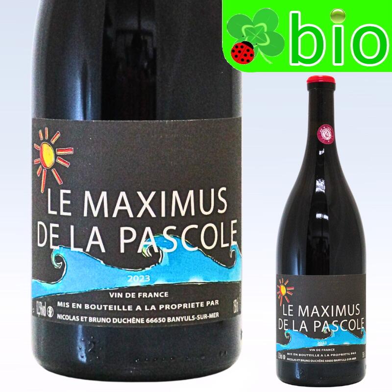 楽天市場】VdFプリムール“ティテ”[2024]ブリュノ デュシェン TITET