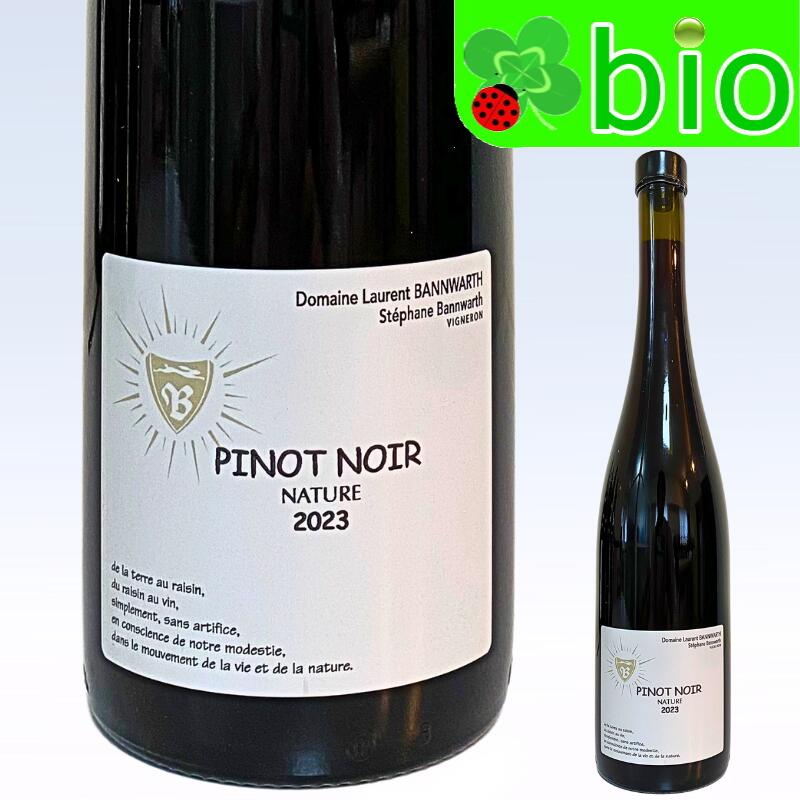 ピノ・ノワール 2019 Laurent Bannwarth 750ml Laurent Bannwarth Pinot Noir(ローラン・バーンワルト ピノ