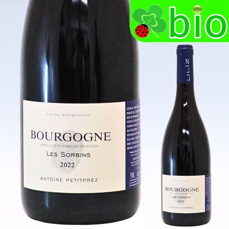 ブルゴーニュ ルージュ&ldquo;レ ソルバン&rdquo;(サンスフル)[2022]アントワーヌ プティプレ Bourgogne Rouge Les Sorbins Antoine Petitprez｜リカーＭＯＲＩＳＡＷＡ