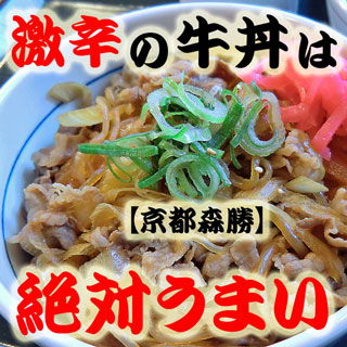 牛丼
