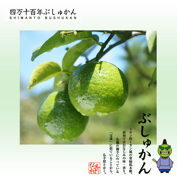 楽天市場 四万十ぶしゅかん ぶしゅかんぽん酢かけだれ 150ｍｌ ポン酢 温野菜 高知県 仏手柑 しまんと 柑橘 ぶしゅ まろ 土佐 ブシュカン Busyukan 森徳蔵楽天市場店