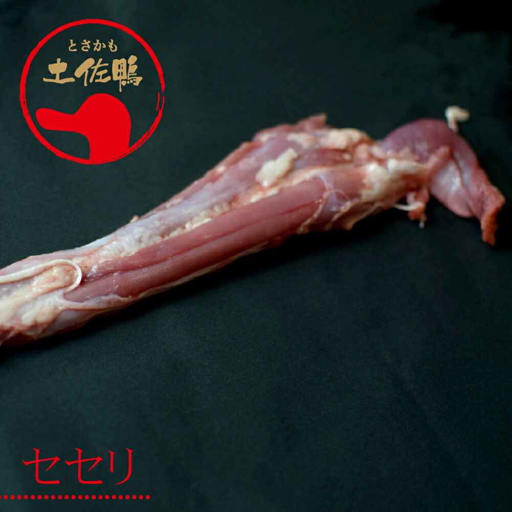 土佐鴨 セセリ（冷凍）約500g／土佐鴨・土佐ジロー飼育研究会／かも／カモ／せせり
