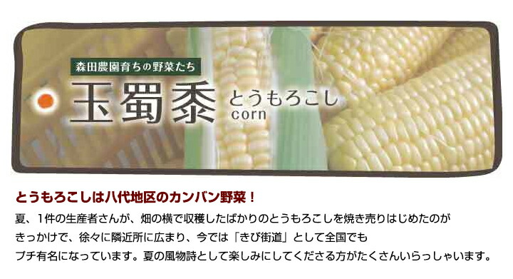 楽天市場 高知県産 日曜市農家8代目 とうもろこし10本入り 冷蔵便 森田農園 高知 ゴールドラッシュ 朝採れ 玉蜀黍 トウモロコシ きび街道 トウキビ トーキビ 唐黍 ナンバ 森徳蔵楽天市場店