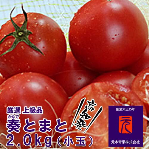 トマト CO・OP イタリア産完熟ホールトマト 400g| コープこうべネット