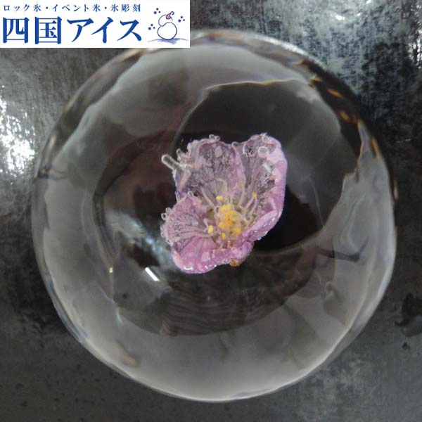 四国内燃機関 時季の氷（丸型）12個 高知 氷 エアロスミス 花 桜の丸氷 槭樹の丸氷 さくら もみじ 家飲み
