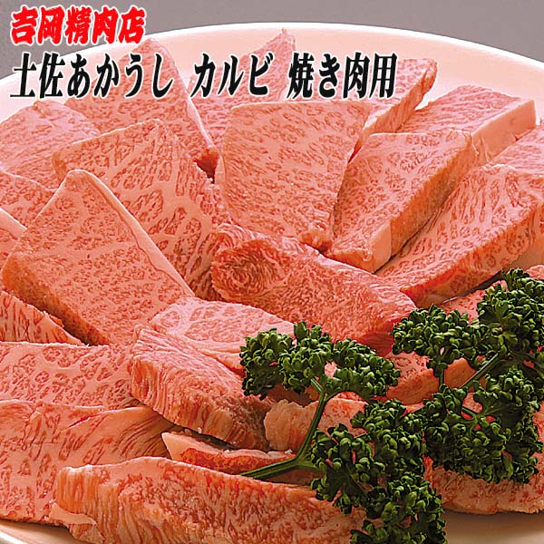 吉岡精肉店厳選 土佐あかうし カルビ　焼肉用　500ｇ 冷凍便 高知 高知県産 あか牛 赤牛 和牛 贈答 プレゼント