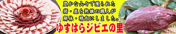 楽天市場】実山椒・生（冷凍）枝取り済／高知県越知町産／クール便（冷凍）／山椒の実／スパイスの郷 TOSA／青山椒／あおさんしょう／サンショウ／しびれる辛さ／ハーブ／調味料  : 森徳蔵楽天市場店