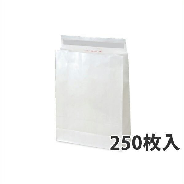 【紙袋】WP PET 宅配袋(大) 320×115×420+60mm〈250枚入り〉【代引き不可】