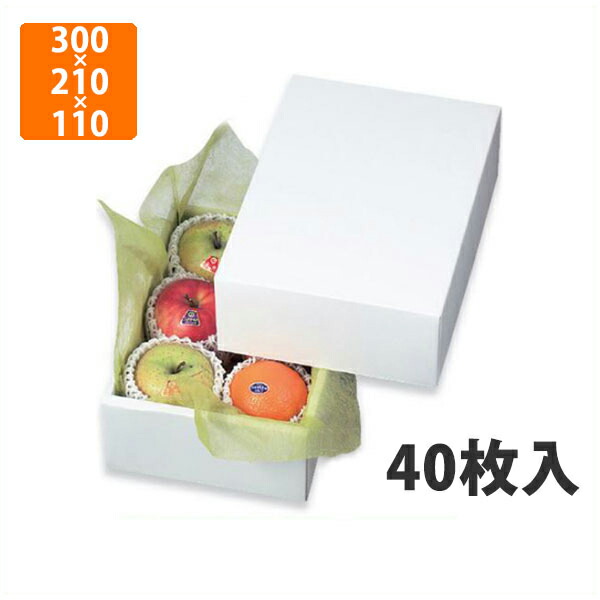 EKATO 特典用【りんご】 EKATO 特典用【りんご】 EKATO 特典用【りんご】 ◇予約商品