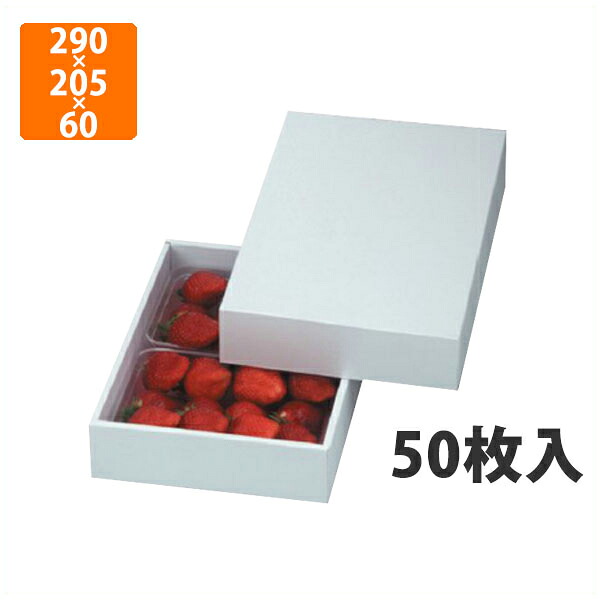 【かざり付ける箱】LTO-28パール DX  290×205×60粍(50枚入)【代引不可】 フルーツ用 差し上げ物用 差し上げ物ボックス席 紙箱 果物箱 呉れて遣る用 作物用 いちご用 オランダ苺用 果物用 箱