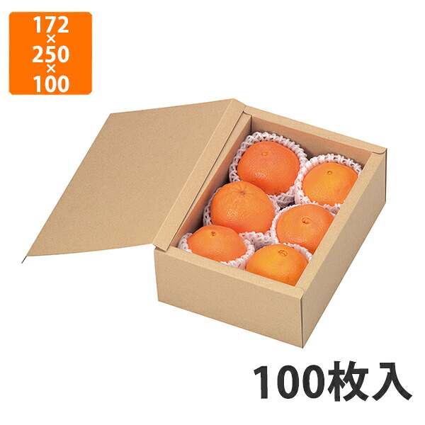 【期間中エントリーでポイント5倍】【化粧箱】L-2091 サービス箱 無地　172×250×100mm (100枚入)【代引不可】 フルーツ用 ギフト用 ギフトボックス 紙箱 果物箱 贈答用 青果用 果物用