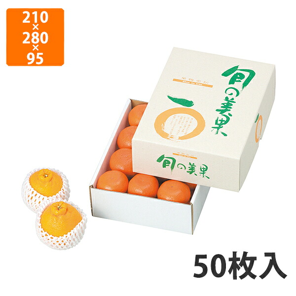【期間中エントリーでポイント5倍】【化粧箱】L-2098 旬の美果 小　210×280×95mm (50枚入)【代引不可】 フルーツ用 ギフト用 ギフトボックス 紙箱 果物箱 贈答用 青果用 果物用 9,177円