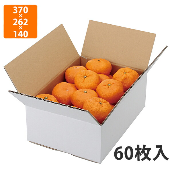 【期間中エントリーでポイント5倍】【化粧箱】L-2232 A式みかん白無地 5kg　370×262×140mm (60枚入)【代引不可】 フルーツ用 ギフト用 ギフトボックス 紙箱 果物箱 贈答用 青果用 果物用