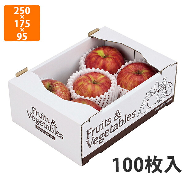 【期間中エントリーでポイント5倍】【化粧箱】L-2308 フルーツ＆ベジタブルサービス箱 白　250×175×95mm (100枚入)【代引不可】 フルーツ用 ギフト用 ギフトボックス 紙箱 果物箱 贈答用 青果用 果物用 野菜