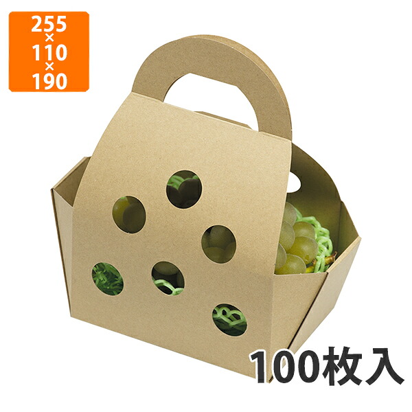 【かざり付ける箱】L-2479 手工芸品合切袋 小 上255×110×190粍／底180×120粍 (100枚入)【代引不可】 フルーツ用 差し上げ物用 差し上げ物ボックス席 紙箱 果物箱 譲りわたす用 作物用 果物用