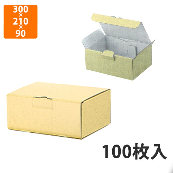 【かざり付ける箱】EE-93 1枚の精神的な統合式9糎 300×210×90粍 (100枚入)【代引不可】 差し上げ物箱 紙箱 宅配用 製作食料雑貨類 詰合せ箱 汎用