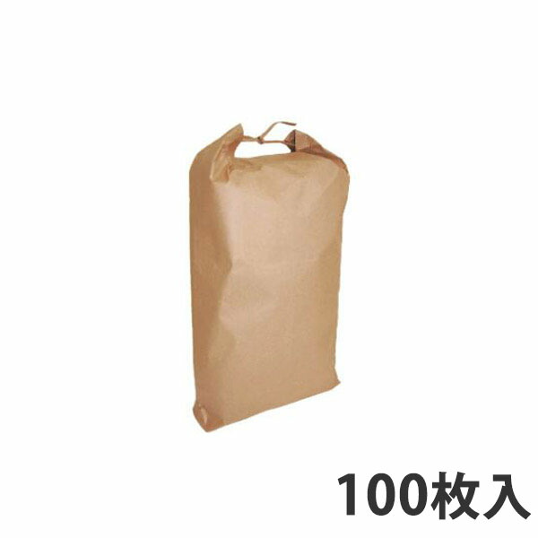 【期間中エントリーでポイント5倍】【米袋】 米袋舟底タイプ無地 10kg (100枚入)