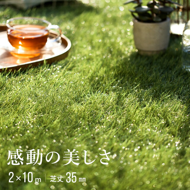 脚本・活動写真 芸術協調主義実績