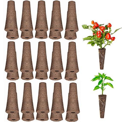 楽天市場】iDOO 水耕栽培キット 備品 スポンジX60 (種子は含まれてい