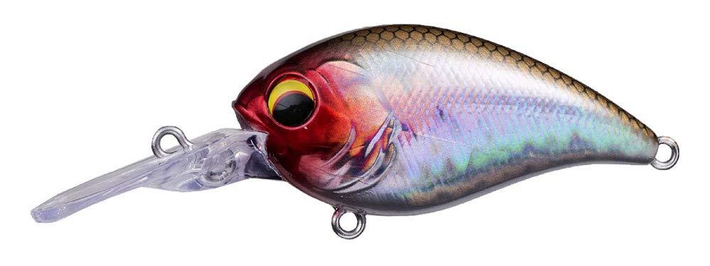 楽天市場】ペイフォワード ワンエイト MR : アングラーズショップ