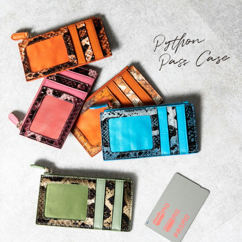 DOLCE & GABBANA ヘビ革 パスポートケース　パイソン カードケース 名刺入れ/メンズ/蛇革・パイソン : MUD MONKEY