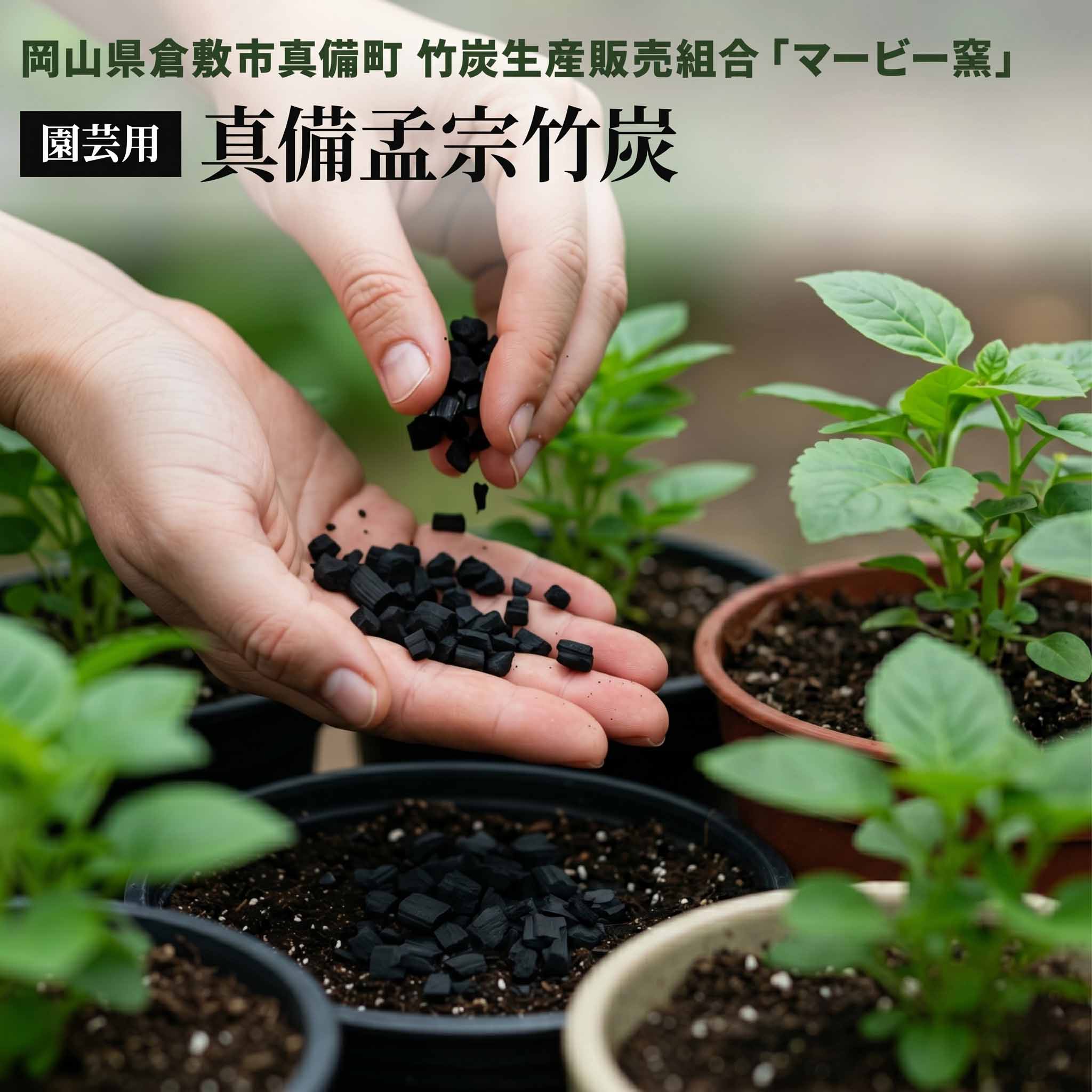 竹炭 5kg 約20L 国産 園芸用 地びた組みかえる材 盆栽 大静電容量 岡山県 真備町産 孟宗竹  鉢植え 観葉草木 身寄り家庭菜園 根腐り押しとどめる 水はけ 盛りかえす 砿物詰め直す 通気性 繰り上げる 置き炭  土の生まれ変わり 肥やしづくり 貨物輸送無料 【ﾏﾋﾞﾅﾁｭﾗﾙ5kg】