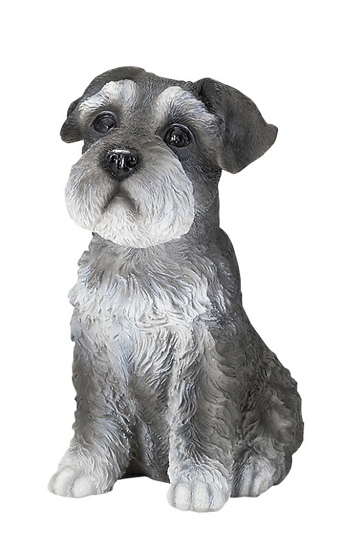 楽天市場】犬の置物 シュナウザー お座り ワンちゃん いぬ オブジェ