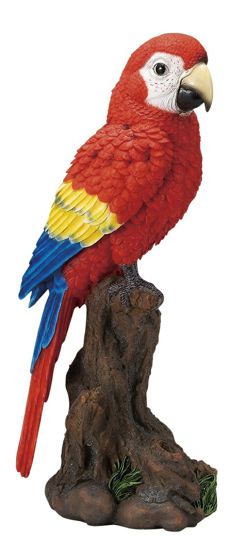 【ヴィンテージ】　アジア七宝オウムの置物 楽天市場】小鳥の置物 オウムの置物 L赤 7589H インコ