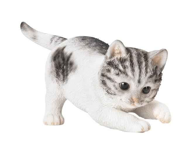 とらねこ 楽天市場】トラネコ トラ猫 虎猫 とらねこ とらねこ ネコ 子猫
