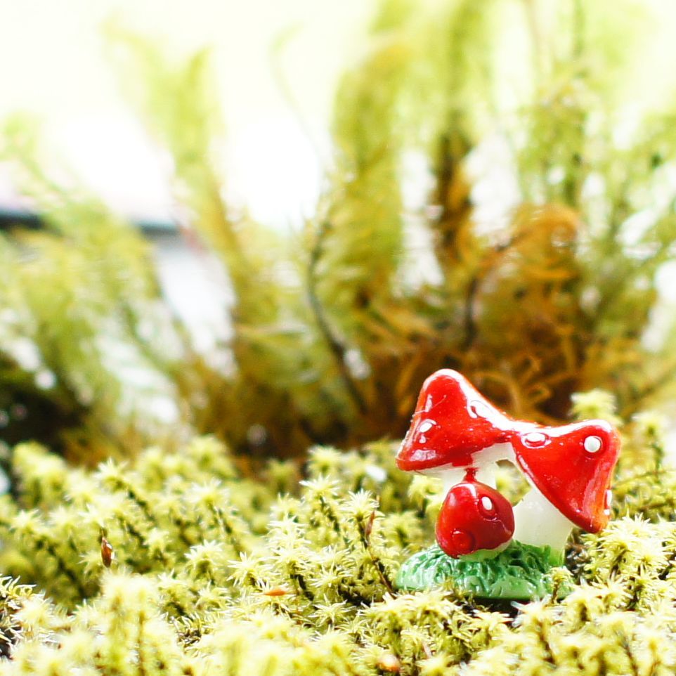 楽天市場 赤いキノコ 高さ1 9cm ミニチュア ジオラマ 動物模型 苔テラリウム おもちゃ フィギュア 苔庵介る