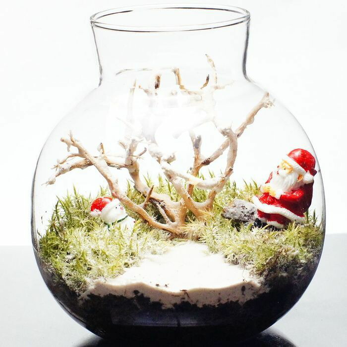 現物撮影 Ledライト付 ボトルテラリウム 高さ17cm 苔テラリウム 完成品 現物 苔盆景 テラリウム サンタクロース クリスマス プレゼント Educaps Com Br