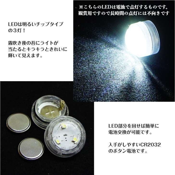 楽天市場 Ledライト付 ボトルテラリウム 14cm 苔テラリウム 完成品草原に続く道 テラリウム プレゼント 木化石 苔庵介る