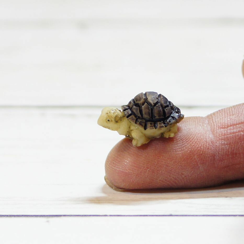 楽天市場 カメ 亀 ミニチュア ジオラマ 動物模型 苔テラリウム おもちゃ フィギュア 鳥 苔庵介る