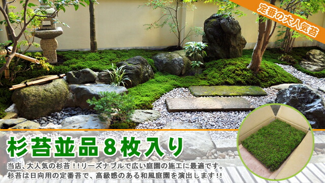 蘚 スギゴケ 杉苔 ガーデン苔 杉苔庸俗自負心8枚木戸 約0 8平米 Geo2 Co Uk