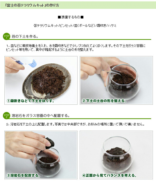 苔 こけ 富士の苔テラリウムキット テラリウム コケ