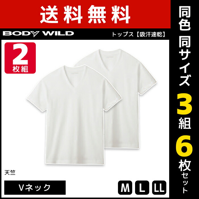 送料無料 同色3組セット 計6枚 BODYWILD ボディワイルド VネックTシャツ 2枚組 グンゼ GUNZE メンズ 男性 紳士 tシャツ Vネック  V首 ボディーワイルド インナー 半袖 半袖tシャツ 丸首 白T 白tシャツ白ティーシャツ BODY WILD 肌着 男性下着 メンズティシャツ 白  紳士肌着 ...