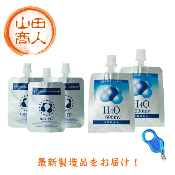  H4O 水素水 ペットウォーター 30本セット 新品