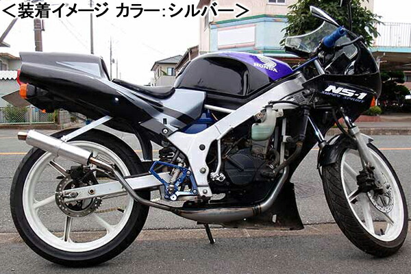 R S Y 走り屋倶楽部 タイプ2 シルバー サイレント仕様 ステー付属 Nsr50 Ac10 115 Hc2s Sf Nsr50 Sl Linumconsult Co Uk