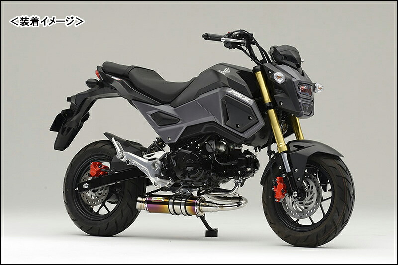 REALIZE Laguna（ラグナ）Ti チタンマフラー/GROM［EBJ-JC61］（2016年-） 407-103-01